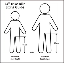 Load image into Gallery viewer, 24″ Aluminium Trike Bike Silver