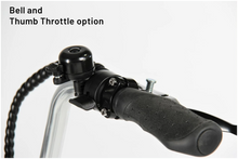 Load image into Gallery viewer, 2650 – 26″ Electric Tricycle