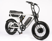 Load image into Gallery viewer, Scout Pro X2 V2 Clearance