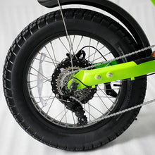 Load image into Gallery viewer, The BELLS PRO