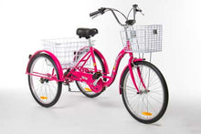 Load image into Gallery viewer, 24″ Aluminium Trike Bike Silver