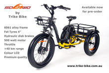 Load image into Gallery viewer, 2024 24" Fat Trike Bike 48V 15Ah