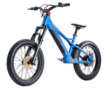 Load image into Gallery viewer, TAKANI Electric Balance Bike 20'' - TK2060 Matte Blue