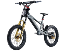 Load image into Gallery viewer, TAKANI Electric Balance Bike 20'' - TK2060-RS Matte charcoal