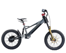 Load image into Gallery viewer, TAKANI Electric Balance Bike 20'' - TK2060-RS Matte charcoal