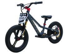 Load image into Gallery viewer, 350W TAKANI Electric Balance Bike 16'' - TK1652-RS Matte Charcoal