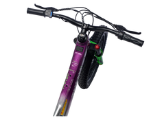 Load image into Gallery viewer, TAKANI Electric Balance Bike 20'' - TK2060 Plum Silver