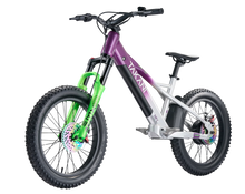 Load image into Gallery viewer, TAKANI Electric Balance Bike 20'' - TK2060 Plum Silver