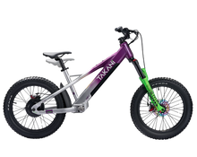 Load image into Gallery viewer, TAKANI Electric Balance Bike 20'' - TK2060 Plum Silver