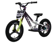 Load image into Gallery viewer, 350W TAKANI Electric Balance Bike 16'' - TK1652-RS PLUM SILVER
