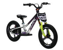 Load image into Gallery viewer, 350W TAKANI Electric Balance Bike 16'' - TK1652-RS PLUM SILVER
