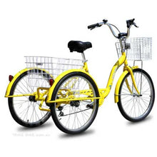 Load image into Gallery viewer, 24″ Aluminium Trike Bike Silver