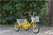 Load image into Gallery viewer, 20″ Aluminium Trike Bike Silver