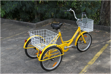 Load image into Gallery viewer, 20″ Aluminium Trike Bike Silver