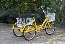 Load image into Gallery viewer, 20″ Aluminium Trike Bike Silver