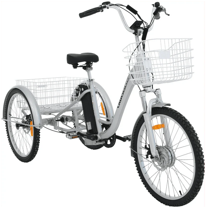 2050 – 20″ Electric Tricycle including FREE ASSEMBLY