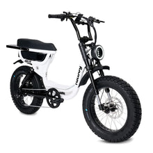 Load image into Gallery viewer, The Harlem eBike
