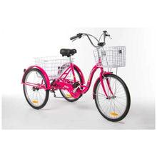 Load image into Gallery viewer, 24″ Aluminium Trike Bike Silver including FREE DELIVERY
