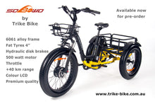 Load image into Gallery viewer, 2024 24&quot; Fat Trike Bike 48V 15Ah including FREE Assembly
