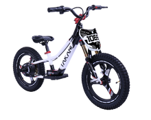 Load image into Gallery viewer, 350W TAKANI Electric Balance Bike 16&#39;&#39; - TK1648-RS - Crisp White
