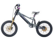 Load image into Gallery viewer, TAKANI Electric Balance Bike 20&#39;&#39; - TK2060-RS Matte charcoal
