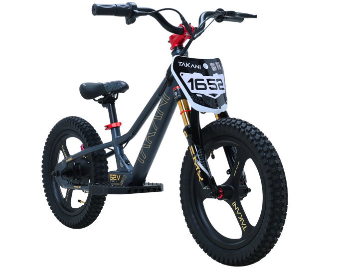350W TAKANI Electric Balance Bike 16'' - TK1652-RS Matte Charcoal