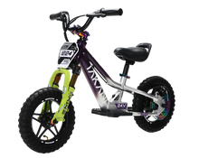 Load image into Gallery viewer, Takani Electric Balance Bike 12&#39;&#39; - TK1224-RS Plum Silver
