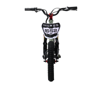 Load image into Gallery viewer, 350W TAKANI Electric Balance Bike 16&#39;&#39; - TK1652-RS Flat Grey
