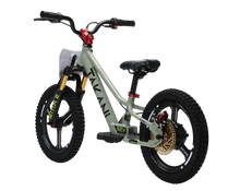 Load image into Gallery viewer, 350W TAKANI Electric Balance Bike 16&#39;&#39; - TK1652-RS Flat Grey
