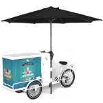 Load image into Gallery viewer, 24″ Electric Trike Bike Silver including FREE DELIVERY
